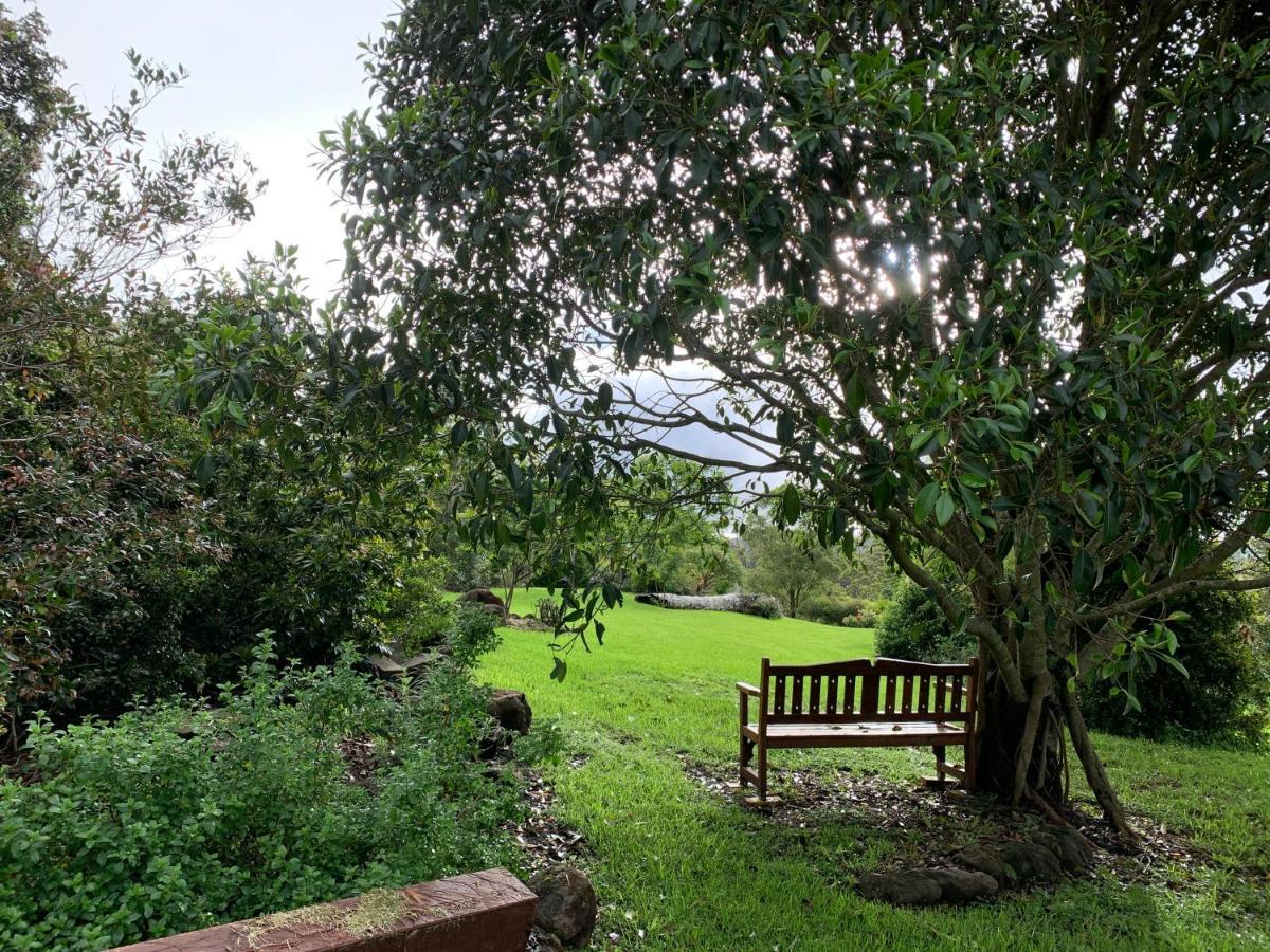 Cedarview Bed & Breakfast Beechmont Εξωτερικό φωτογραφία
