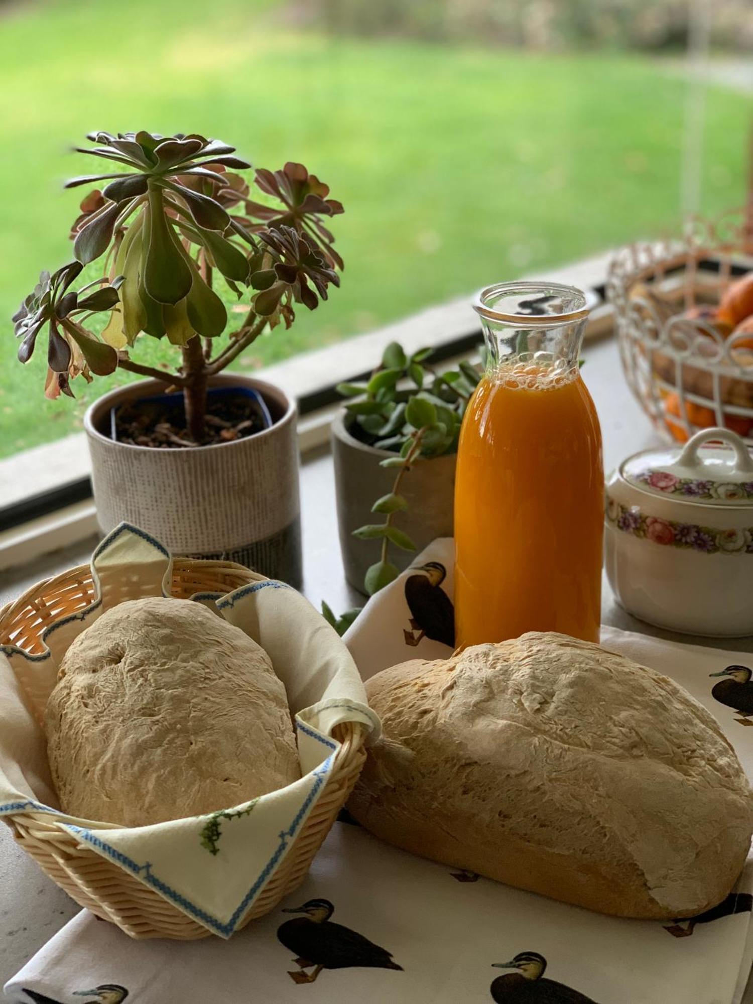 Cedarview Bed & Breakfast Beechmont Εξωτερικό φωτογραφία