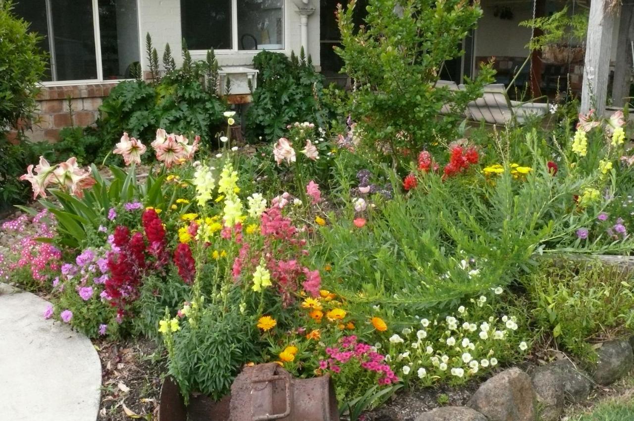 Cedarview Bed & Breakfast Beechmont Εξωτερικό φωτογραφία
